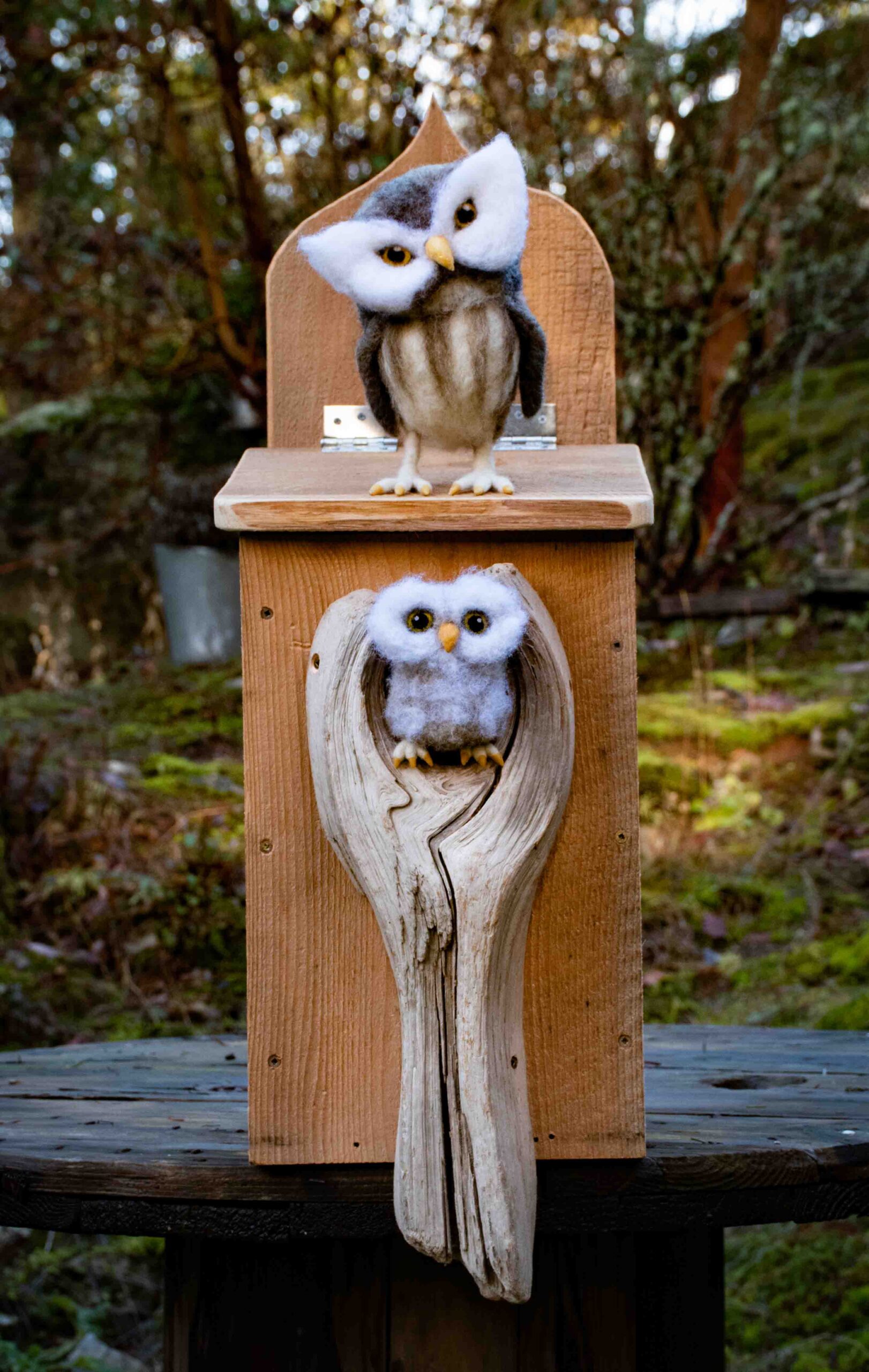 Workshop: How to Build a Screech Owl Nest Box