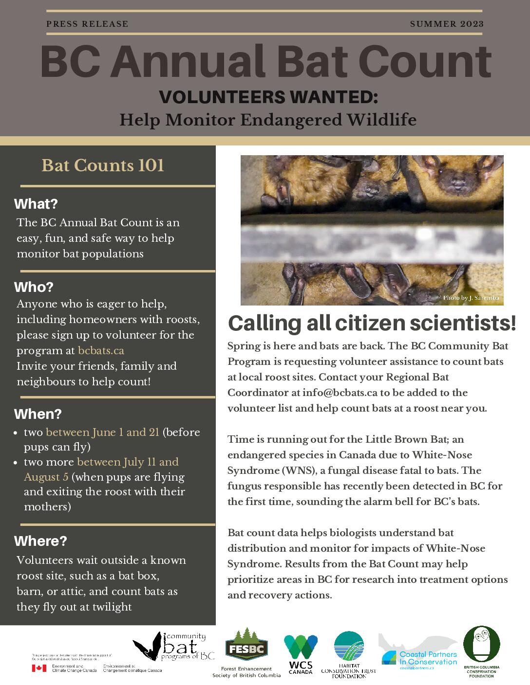 Participate in the BC Annual Bat Count!