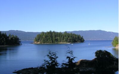 Marine Island: A 10-Acre Conservation Treasure in the Salish Sea