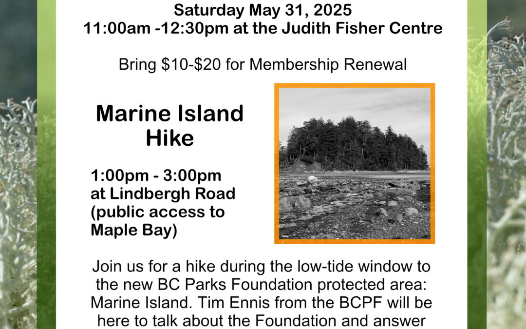 You’re invited to LINC’s AGM: Saturday May 31st!