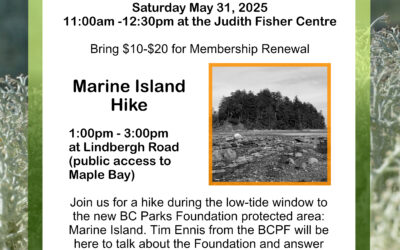 You’re invited to LINC’s AGM: Saturday May 31st!