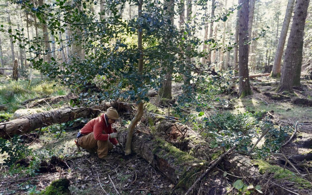 Join us for LINC’s Holly Haul – Sunday, November 9