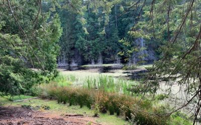 Trail Building Day at Johnny Osland’s– Sunday, November 30