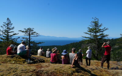 Grateful for your Support So Far!