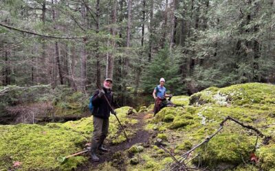 LINC’s New Year’s Day Hike