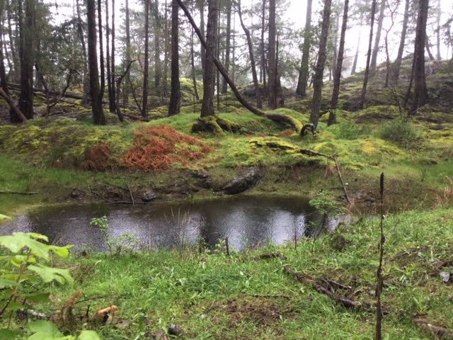 Salish View Work Party, Sunday April 12