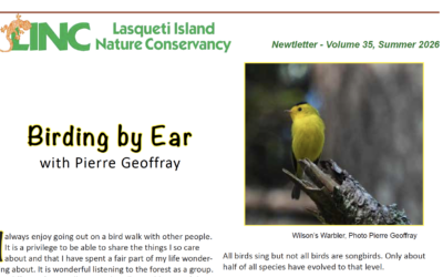 LINC’s Summer Newtletter is here!